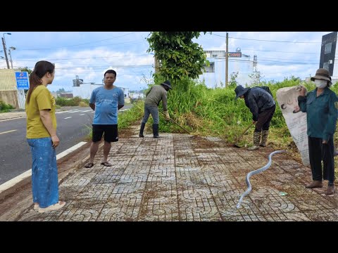 They Called Us Crazy for Cleaning the Sidewalk, But Were Happy to See Us the Next Day!