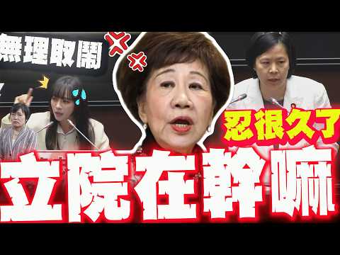 "李貞秀風波"立院在幹嘛!內政部也要檢討! 呂副總統給黃捷.劉世芳上了一課!