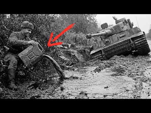 УНИЧТОЖИЛ 100 танков за пару суток! Немцы ДРОЖАТ В СТРАХЕ ДО СИХ ПОР!