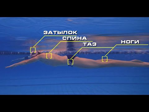 The best exercise for learning crawl: "two-handed"