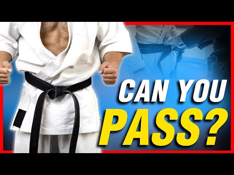 What is a Black Belt Test Like? | ART OF ONE DOJO