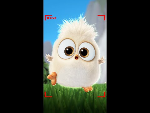 Ultimate Angry Birds Vibes! 🤩❤️‍🔥