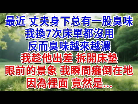 最近丈夫身下總有一股臭味，我換了7次床單都沒用，反而臭味越來越濃，我趁他出差 拆開床墊，眼前的景象我瞬間癱倒在地，因為裡面竟然是.....#為人處世#生活經驗#情感故事#故事#小說#戀愛#情感#婚姻