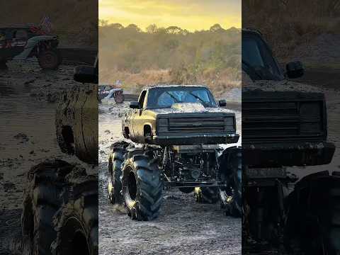 Plant Bamboo TRUCKS GONE WILD weekend #megatruck #mudbog #offroad #mud