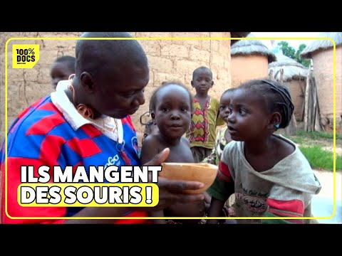 Cuisines risquées ! Manger une souris, c'est comme un bonbon !