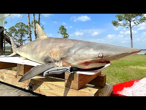 Catching and Cooking a WILD SHARK on the HIBACHI Grill!! *Legally Harvested*