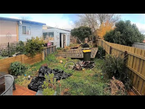 This Place Looked Like a Bomb Had Destroyed It | Overgrown Yard (Part 1)