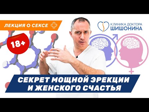 Секрет мощной эрекции и женского счастья: доктор Шишонин про секс 🔞