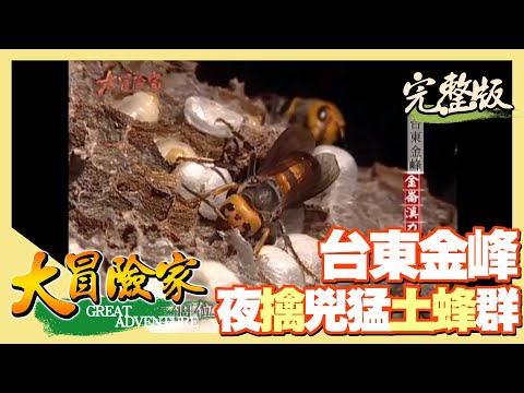 【大冒險家】台東金峰 金崙溪再戰土蜂群 │2003.11.10│ 201集完整版