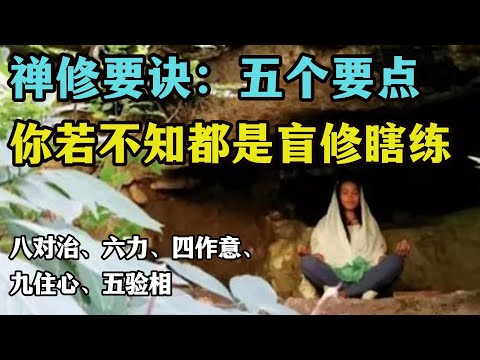 别再盲修瞎练了，这五个要点你要知道：（八对治、六力、四作意、九住心、五验相）