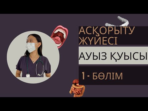 АС ҚОРЫТУ жүйесі | ауыз қуысы, Анатомия
