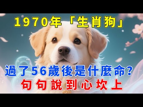 1970年屬狗人，天選之命！2026年56歲後「財星」入庫，以前看不起你的人，以後高攀不起！#十二屬相#生肖 #運勢 #風水 #財運 #命理