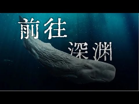 抹香鲸：凝望深渊的孤勇