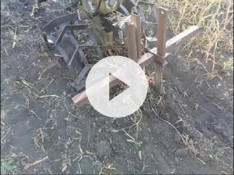 Приспособление для копки чеснока мотоблоком