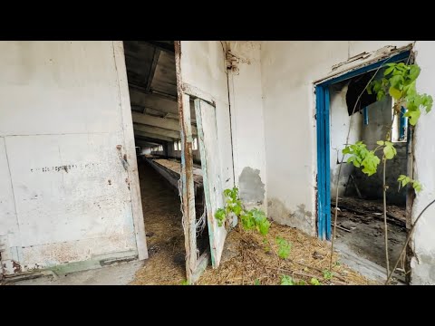 The collective farm that Oleg Zubkov bought in Crimea is simply insane! And he's HAPPY!!!