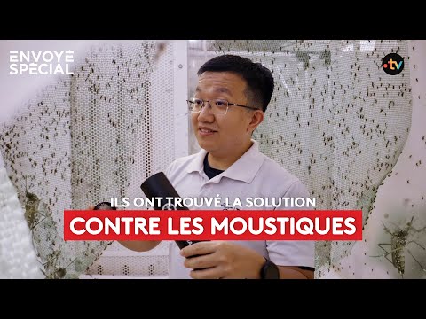 Ils ont trouvé la solution pour lutter contre les moustiques !