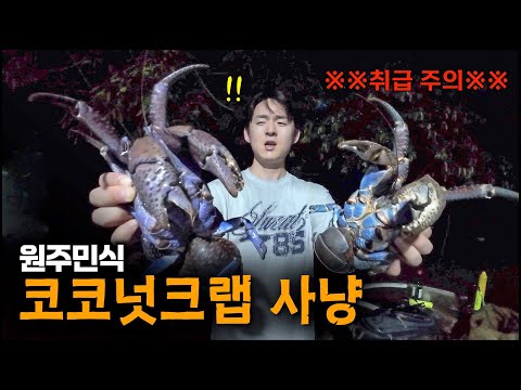 "인간의 뼈도 손쉽게 절단ㄷㄷ" 지구상 가장 강력한 절지동물 사냥해보기 [티니안2, 북마리아나제도]