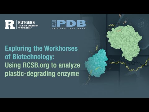 Exploring the Workhorses of Biotechnology: Using RCSB.org to analyze plastic-degrading enzyme