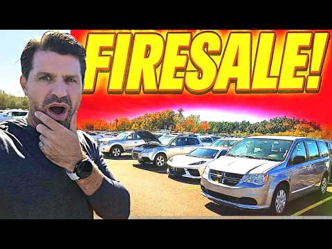 What's REALLY Happening at Car Auctions You Won't Believe