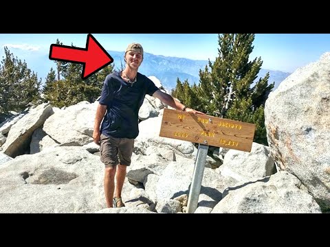 30 Strangest "Missing 411" Mysteries Ever That'll Creep You Out