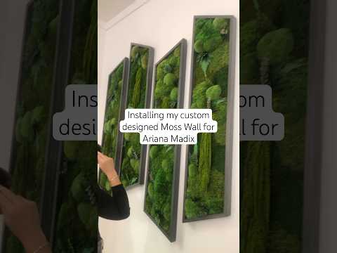 Moss for Ariana Madix #mosswall #moss #vanderpumprules #bravotv  #artinstallation #greenlifestyle