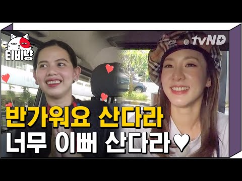 [티비냥] 진짜 슈스가 나타났다,, 공항 입국부터 사람 몰리는 필리핀 국민 스타 ★산다라 박★ 클라쓰 🇵🇭 | #서울메이트2 190211 #11