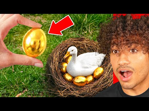 Cool Things You've Never Seen Before