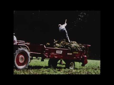 Erst denken, dann lenken (Schweiz, 1966)