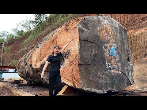 Auction And Successful Cutting Of A Christmas Tree // Project To Process A Giant Round Table