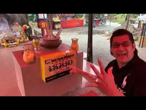 槟城华都村百年老树（哪督公）送大财