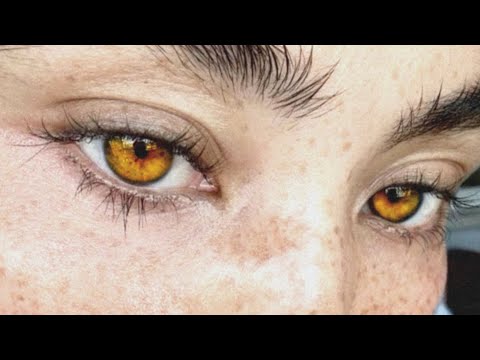 𝓱oney dipped amber eyes