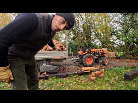 I heat my home and cook with wood.