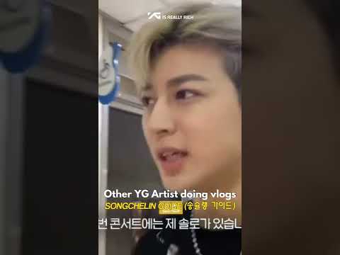 Other YG Artist doing vlogs, and there's Chanhyuk