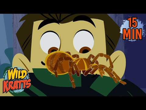 Spooky Spiders | Tarantulas, Orb-weaver Spiders & More | Halloween | Animals for Kids | Wild Kratts