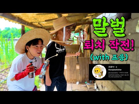 1 million YouTuber Phung came to exterminate bees!!