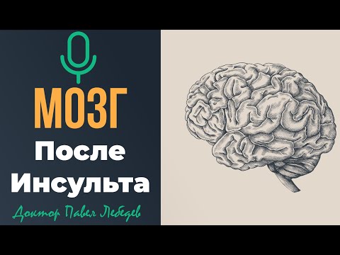 Podcast: The Brain After a Stroke: How It Recovers and What Helps
