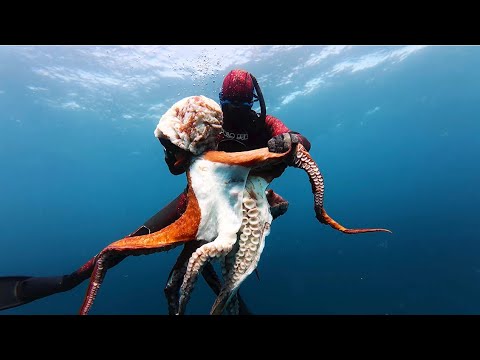 We Caught A New World Record Octopus (Catch & Cook)
