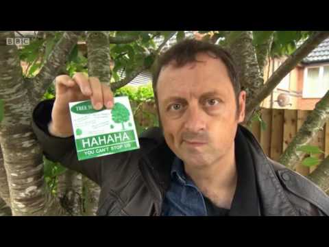 Rogue Traders - Greenways Tree & Garden Care (2017)