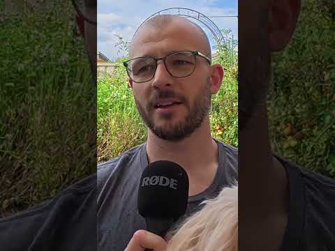 Confronting Childhood Bullying: A Journey of Understanding