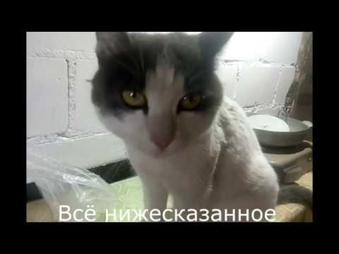 Варка велосипедной цепи в восковой смазке.