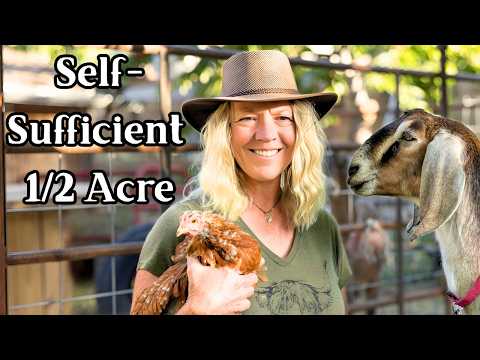 How We Produce 80% of Our Food on Just 1/2 Acre (Complete Tour)