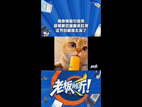 大数据给我推“美食混剪”🤷‍♂️点开却是“语言哲学巅峰对决😁 #老板别听 #辩论脱口秀 #shorts