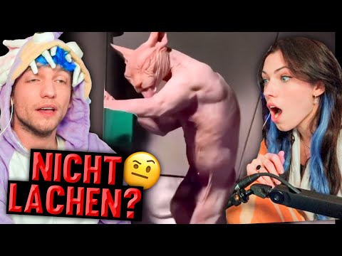 NICHT LACHEN ist nur GESTÖRT (Rezo und Reved reagieren)