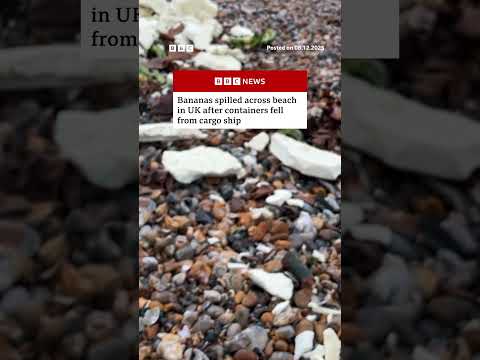Containers of bananas fall from cargo ship and wash up on UK beach. #Bananas #BBCNews