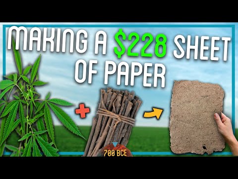 Making Paper Out Of Trees (100% From Scratch)