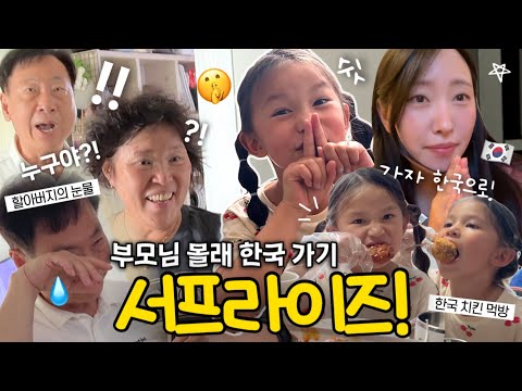 외국 사는 딸이 갑자기 왜 우리집에...?! 부모님 몰래 입국 서프라이즈🥹💗 할아버지의 눈물💦 l 한국 여행 브이로그