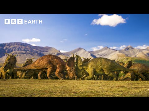 Brutal Pachyrhinosaurus Battle | Walking with Dinosaurs | BBC Earth Science