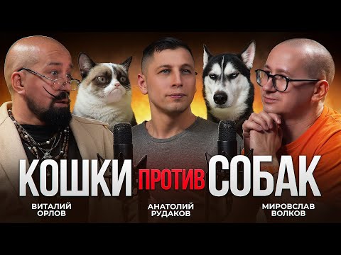 КОШКИ vs СОБАКИ. Сложный разговор о важном, и конфликт на площадке