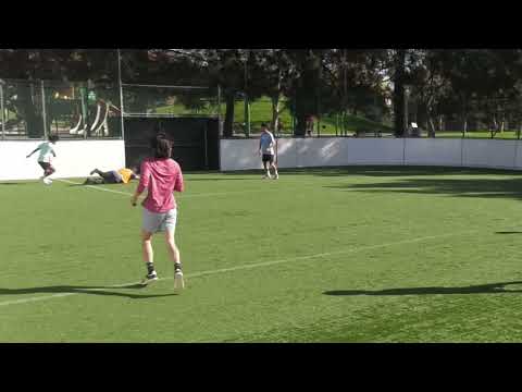 Fall Season 2025: Week 9, Top 10 Saves of the Week