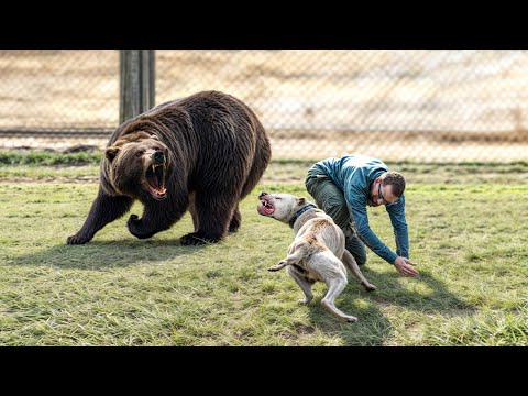 Hero Animals That Saved Human Lives